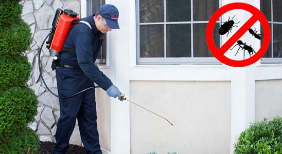Sürmene Dezenfeksiyon böcek ilaçlama ve haşere kontrolü — ilaclama-tr.com